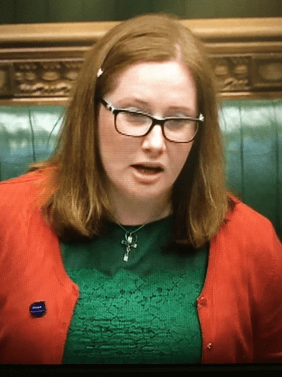 Emma’s Disappointment with Health Scrutiny